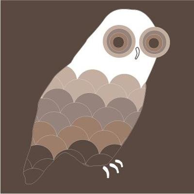 Avalisa Owl Stretched Print Avalisa Owl Stretched Print