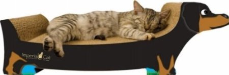 Does your cat want a canine buddy? Or maybe she wants to take her aggression out on one? Get her this Dachshund Recycled Paper Scratching Board ($41).
Does your cat want a canine buddy? Or maybe she wants to take her aggression out on one? Get her this Dachshund Recycled Paper Scratching Board ($41).