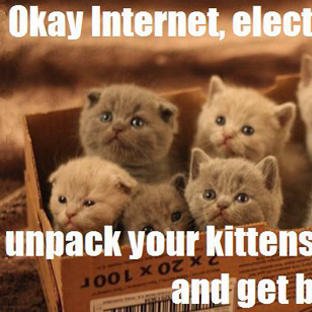 Wil Wheaton Cat Tweets