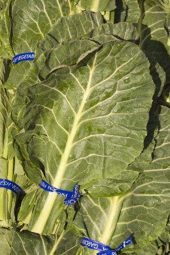 Collard Greens Collard Greens