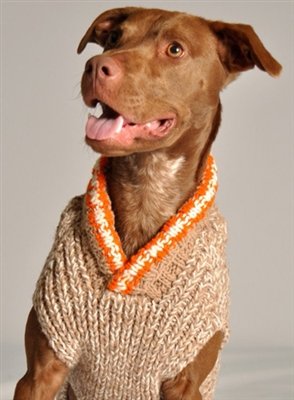 Camp Dog Sweater Camp Dog Sweater