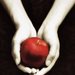 Twilight by Stephenie Meyer