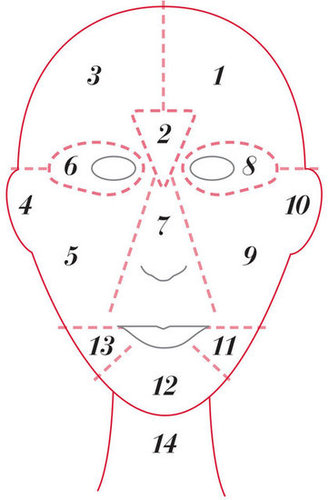 What is Chinese Face Mapping & How to Treat Acne