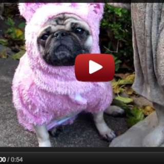 Video Viewing Impatience