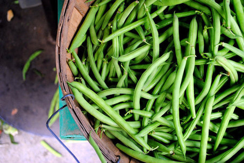 Snap Ends Off the Green Beans Snap Ends Off the Green Beans