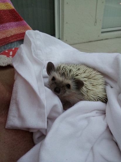 Snuggle Hayley