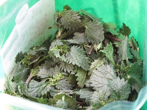 Nettles Nettles