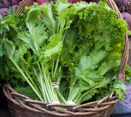 Mustard Greens Mustard Greens