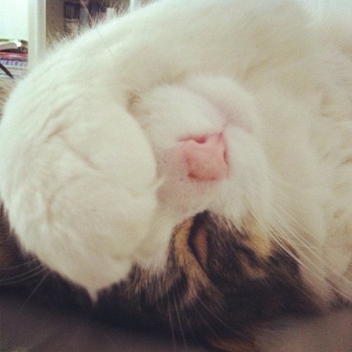 Turn Off the Lights, Please! Turn Off the Lights, Please!