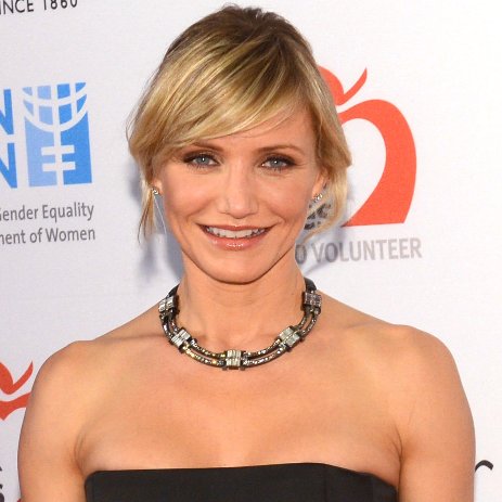 Cameron Diaz Cast in The Other Woman