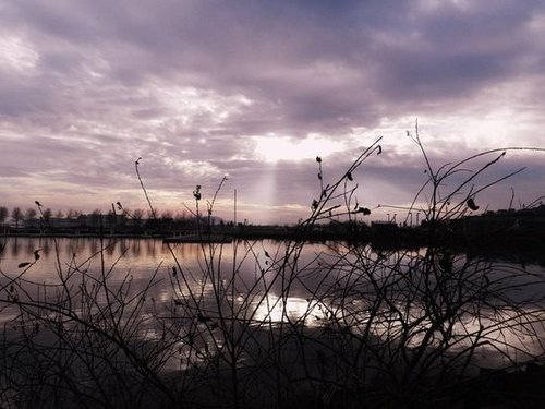On the Lake