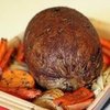 Vegetarian Turkey