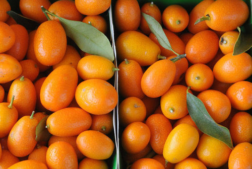 Kumquats Kumquats