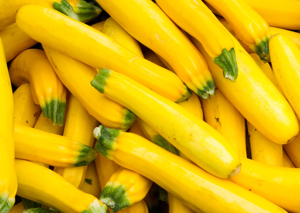 Summer Squash Summer Squash