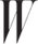 W Magazine