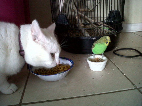 Lunch Date Lunch Date