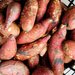 Sweet Potatoes 