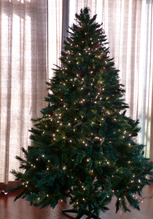 Lights are on! Lights are on!
