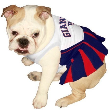 NFL Wear For Dogs