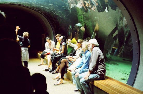 Museum Pass