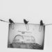 Wire Photo Clip 