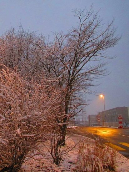 Snow in Kaiseraugst - AG - Switzerland