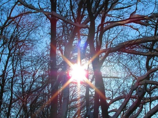 Sun in the Snow