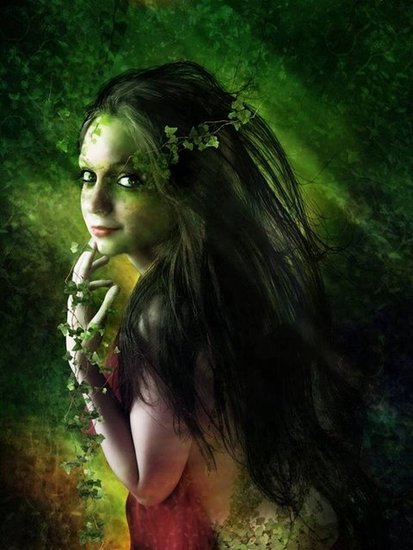 Web Pic