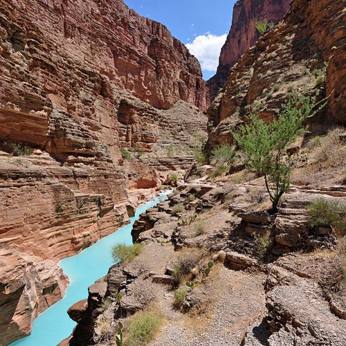 Best Trips in America