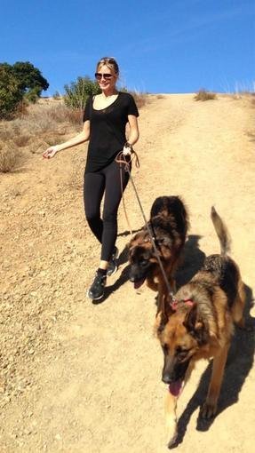 Let's Go For a Walk