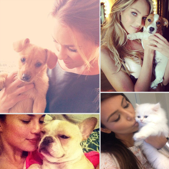 Adorable Pictures of Celebrities and Their Favorite Furry Friends Adorable Pictures of Celebrities and Their Favorite Furry Friends
