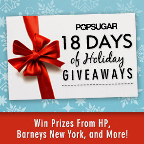 2012 Holiday Giveaways