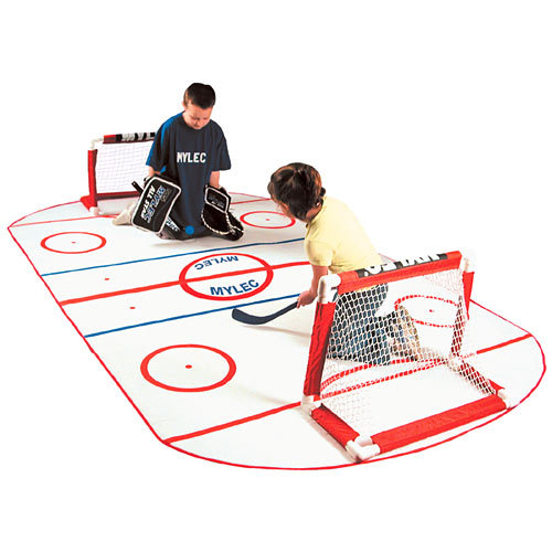 Mini Shini Knee Hockey Rink