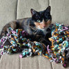 DIY Pet Blanket