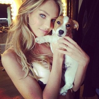 Celebrities and Their Pets