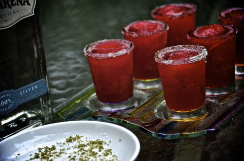 Hibiscus Margaritas Hibiscus Margaritas