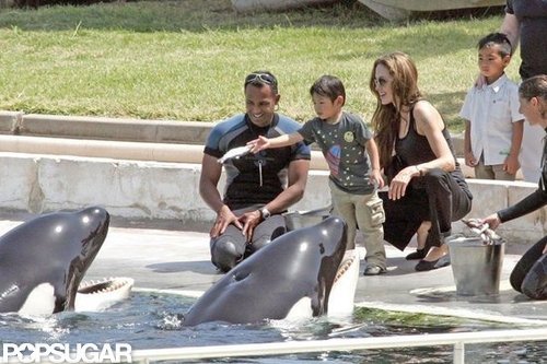 Angelina Jolie took sons Maddox and Pax to feed killer whales during a trip to France in March 2007.
Angelina Jolie took sons Maddox and Pax to feed killer whales during a trip to France in March 2007.