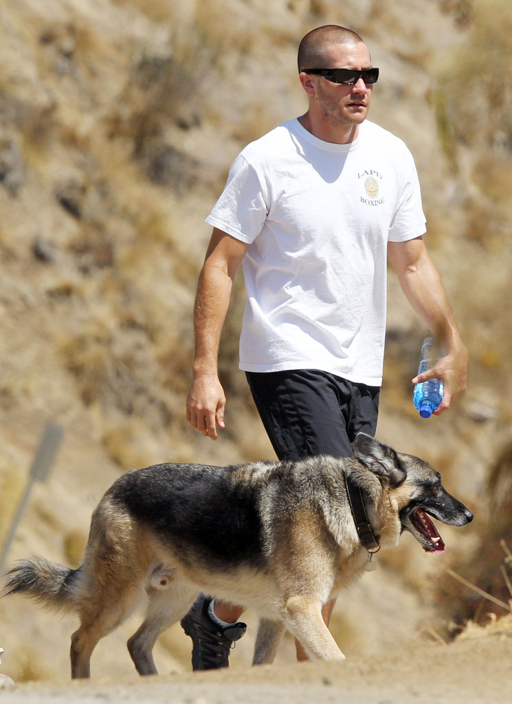 Jake took his dog for a walk around LA's Runyon Canyon in September 2011.
Jake took his dog for a walk around LA's Runyon Canyon in September 2011.