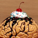 High-Fat Food Linked With Brain Chemical Changes, Withdrawal Symptoms High-Fat Food Linked With Brain Chemical Changes, Withdrawal Symptoms