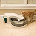 PetSafe Simply Clean Continuous-Clean Litter Box