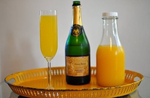 Classic Mimosa Classic Mimosa