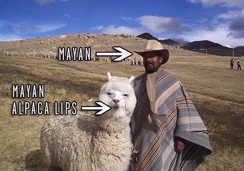 December: Mayan Alpaca Lips December: Mayan Alpaca Lips