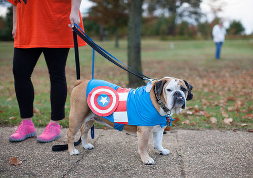 Here's a superhero that's ready to protect and serve.
Source: Flickr user Fort Meade
Here's a superhero that's ready to protect and serve.
Source: Flickr user Fort Meade