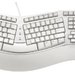 Natural Keyboard Elite