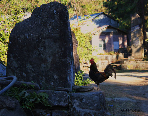 Nagaland,India