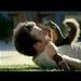 Walter, the Bodyguard Squirrel