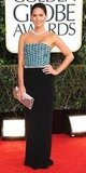Olivia Munn(2013 Golden Globes Awards)