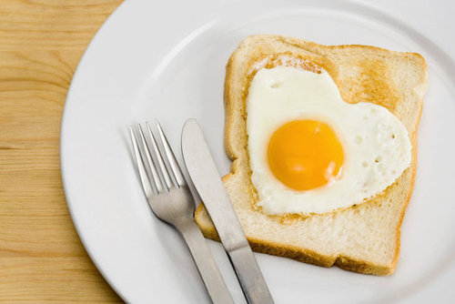 Easily Digestible Protein Easily Digestible Protein