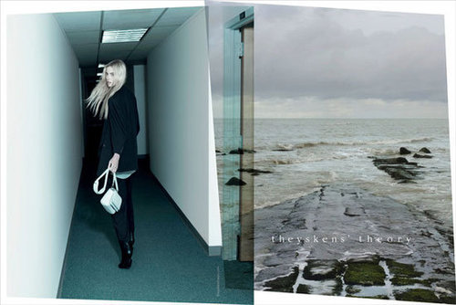 Theyskens' Theory Spring 2013 Theyskens' Theory Spring 2013