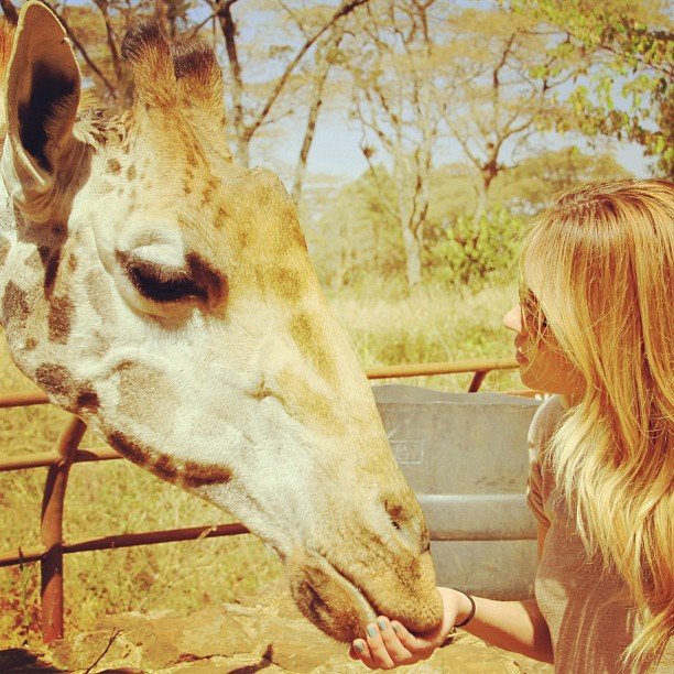 And she made a friend while on vacation.
Source: Instagram user laurenconrad
And she made a friend while on vacation.
Source: Instagram user laurenconrad